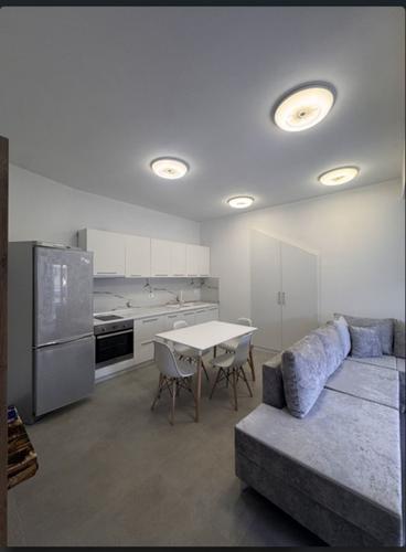 JEPET APARTAMENT ME QIRA 2+1 TE KODRA DIELLIT 1