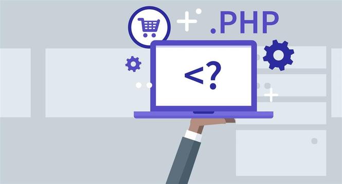 PHP Senior Developer