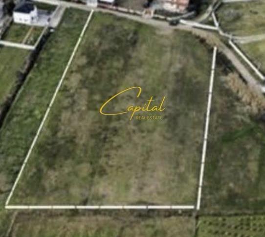SHITET TOKE 7000 M2 PRUSH 735.000 EURO