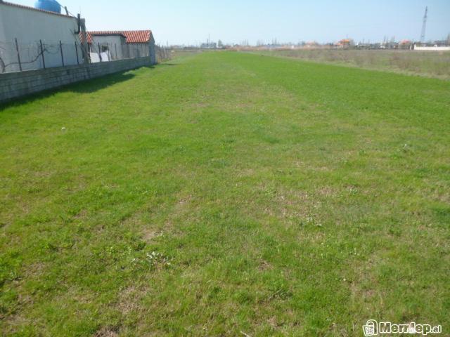 Toke 4700m2  Lezhe (nderrohet)