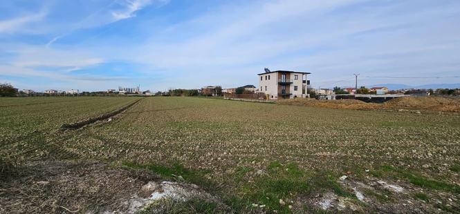 18707867 5000M TOK ARE NE SHITJE XHAVZOTAJ DURRES