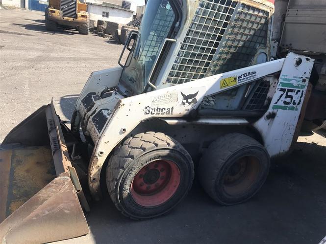 Bobcat