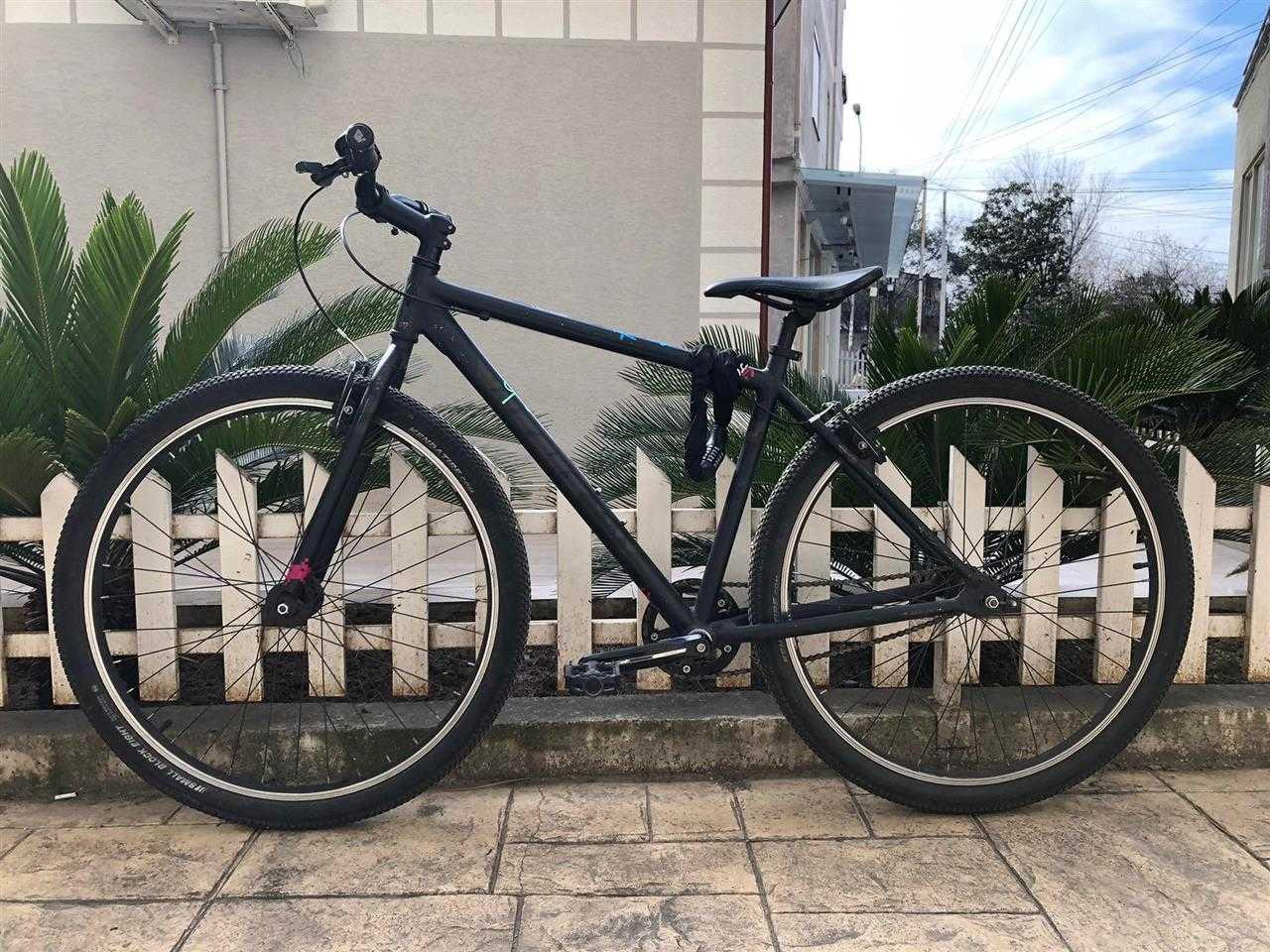 Vitus vee online 29