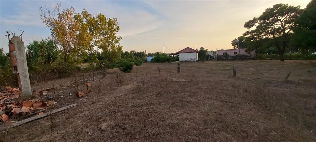 17688103-300M-TOK-TRULL-+600M-ARE---SEKTOR-RINIA