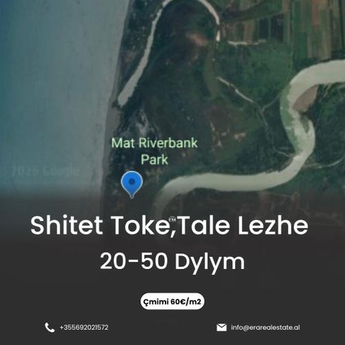 Shitet toke, Tale Lezhe 20-50 dylym